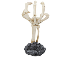 Skeleton Hand Display
